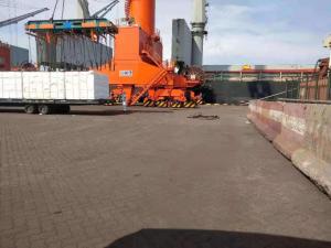 China Steady Sea Courier Service , China Qingdao To Italy Genova Sea Freight Cargo on sale 
